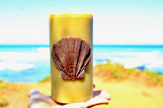 Scallop Shell Pillar